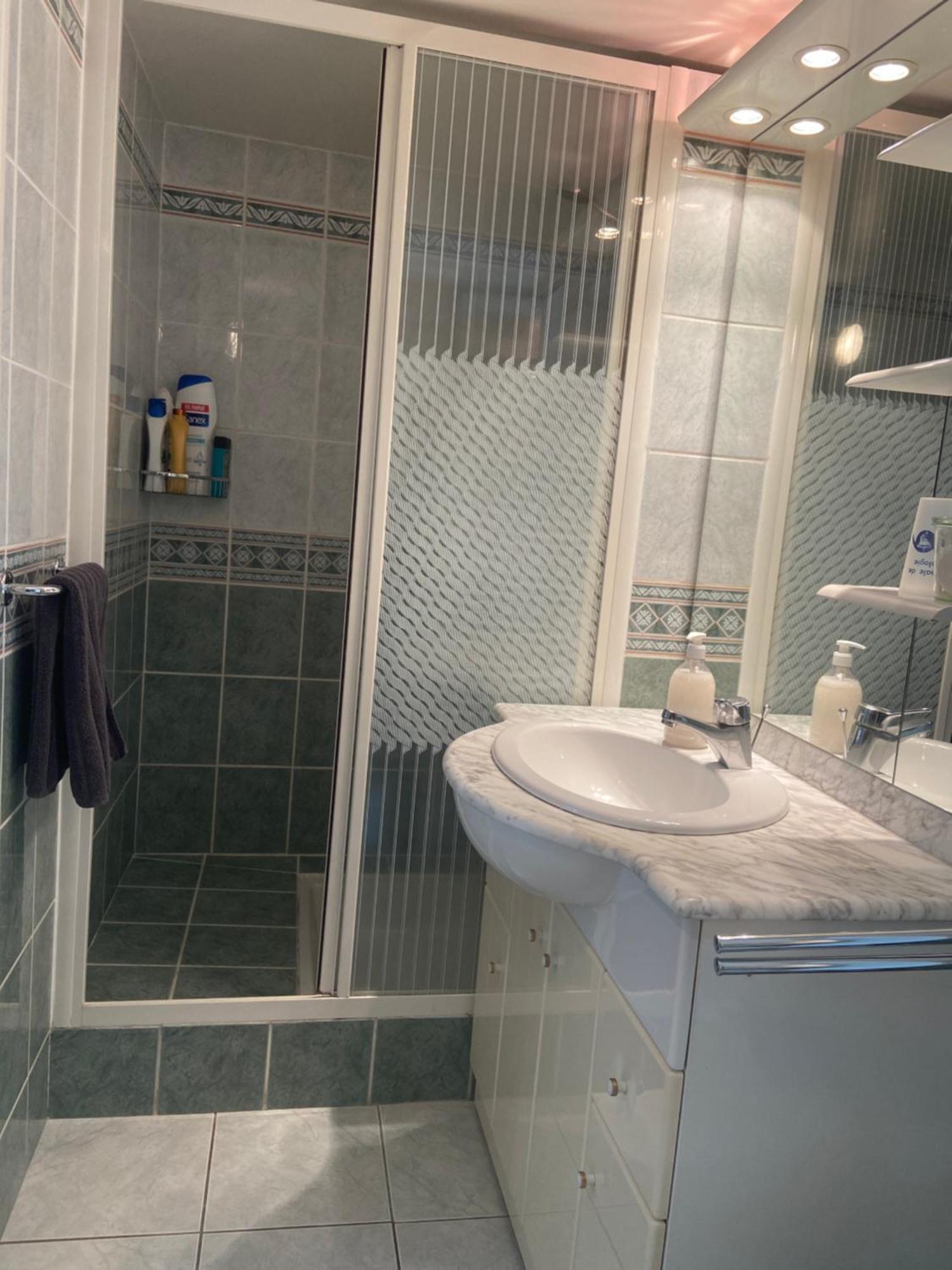 Sweet Home - 55M2 Appartment, Garden, Swimming Pool, Parking Тулуза Екстер'єр фото